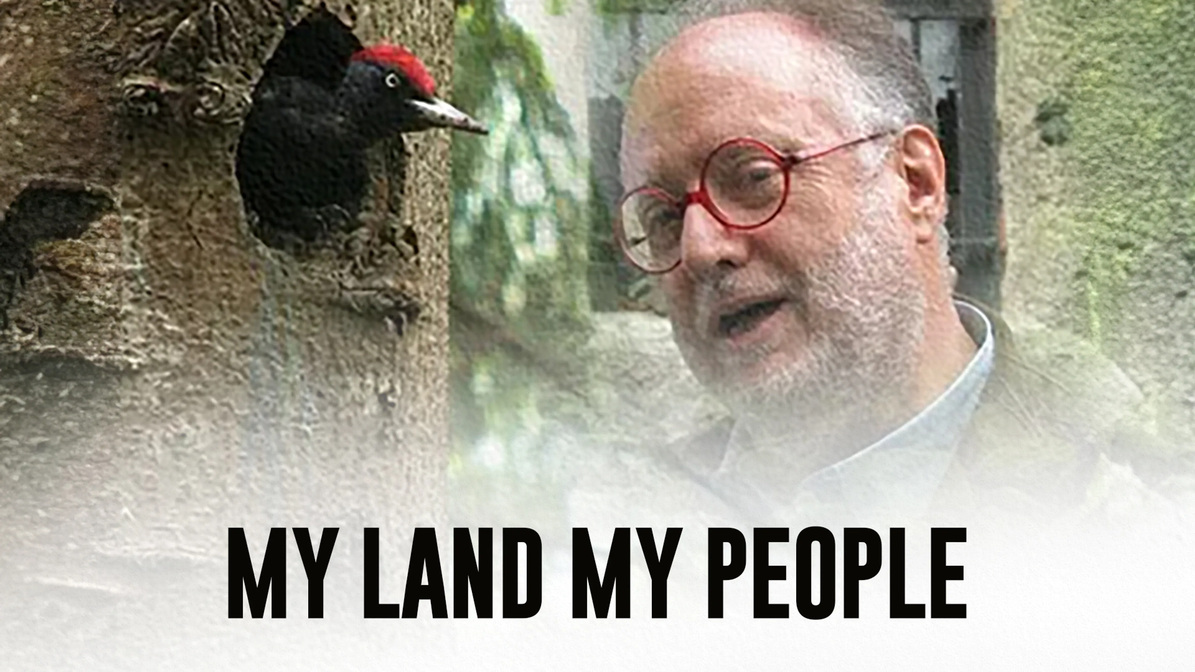 My Land My People poster